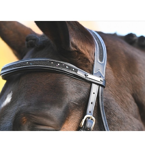 JUMPIN Carat Bridle - One Collection Premium ジャンピン 頭絡