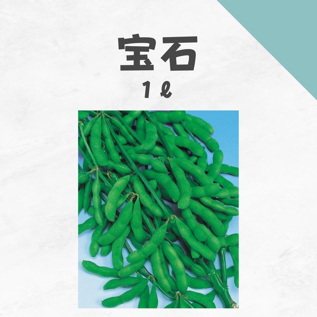 宝石　エダマメ種子・1L
