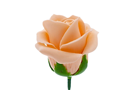 パステルバラT-O2 シャーベットオレンジ (15輪入りor25輪入り)