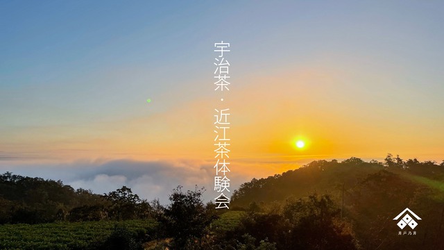 宇治茶・近江茶体験会　午前の部