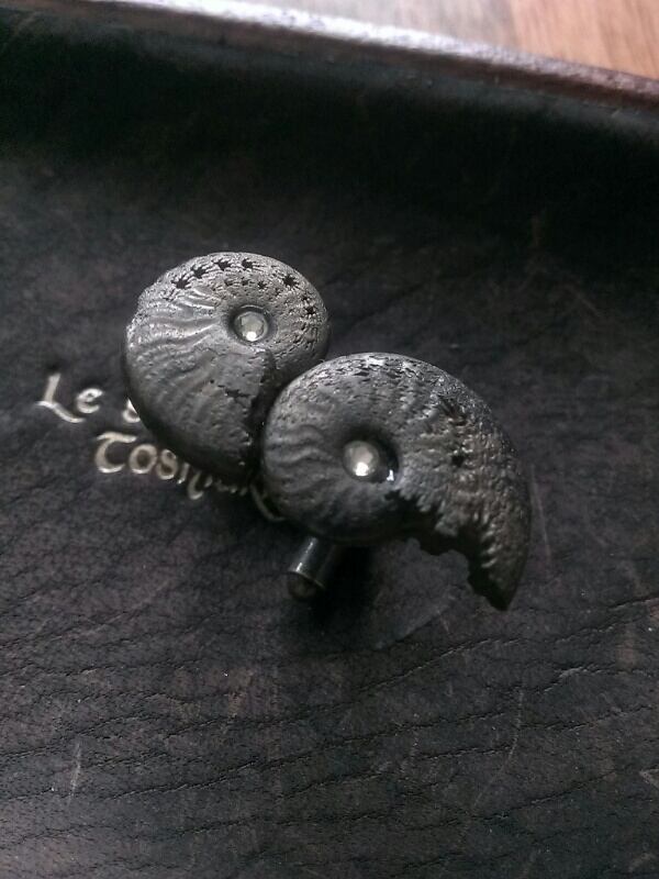 アンモナイト様用 ダクチリオセラス052｜恐竜・化石グッズの専門店 ふぉっしる