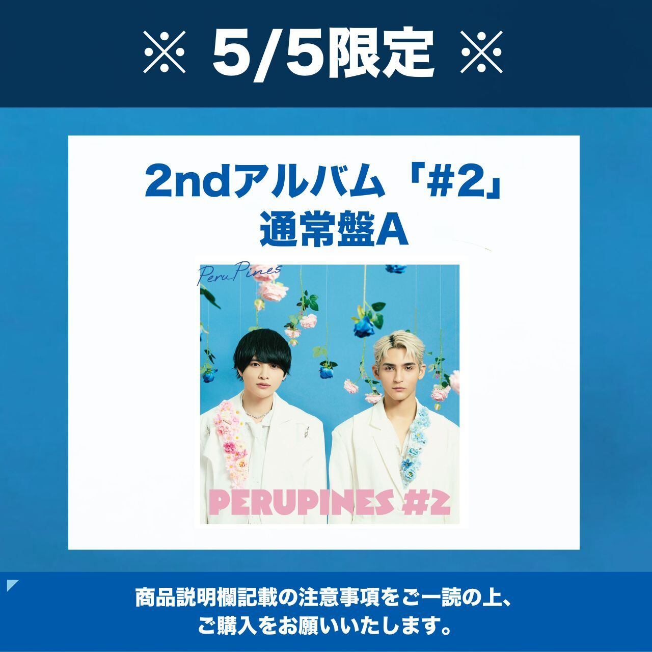 5/6 限定 】特典付き元祖アクスタD | PeruPines