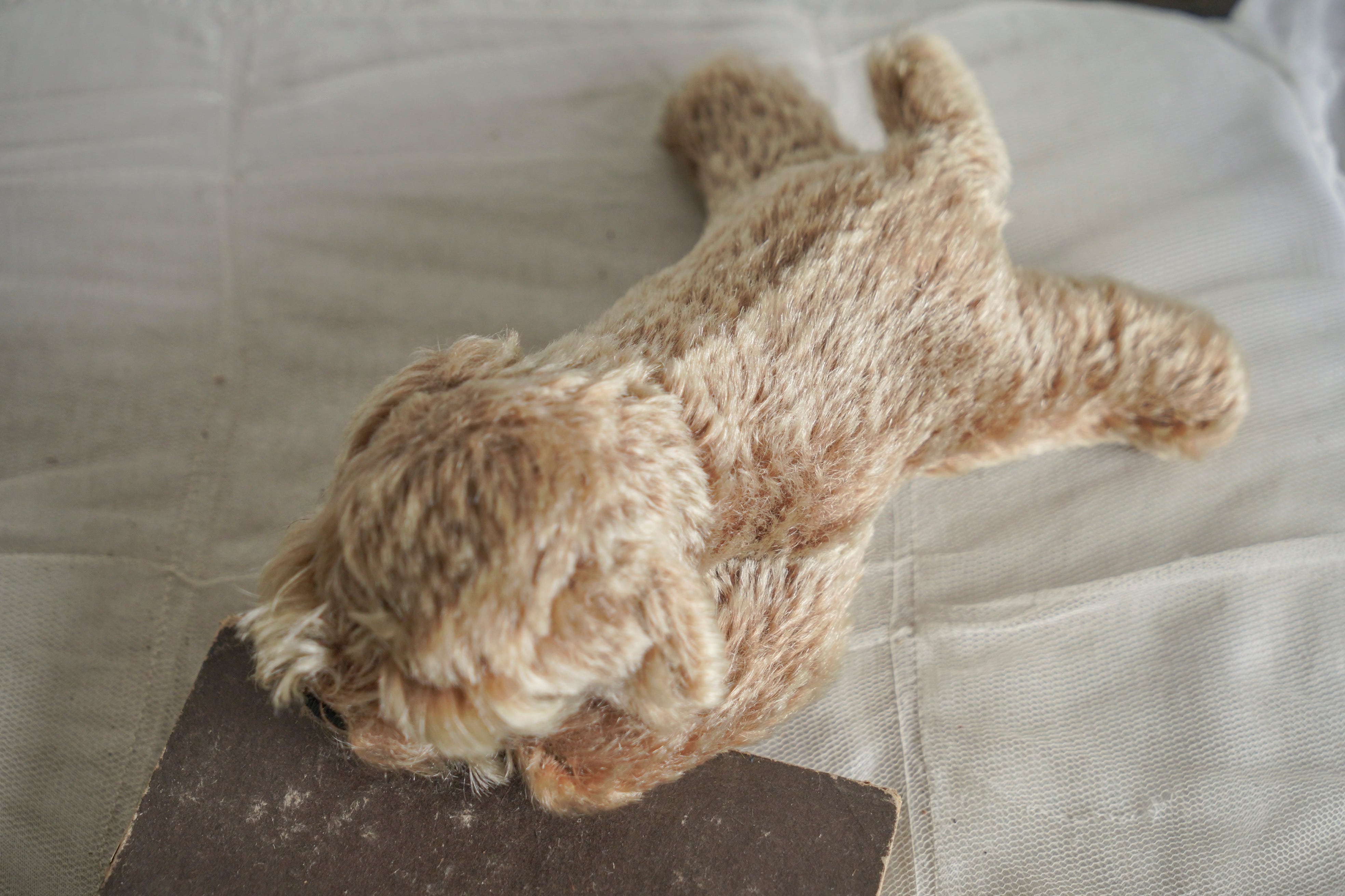 アンティーク いぬ 犬 ぬいぐるみ バスケット ヨーロッパ ヴィンテージ