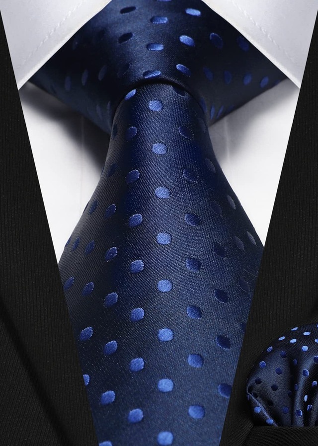 [HISDERN] ヒスデン ブランド ネクタイ チーフ 3本セット メンズ ネクタイ 高級 ギフトボックス付き 20柄物 ビジネス 結婚式 卒業式 父の日 プレゼント TA3-02S