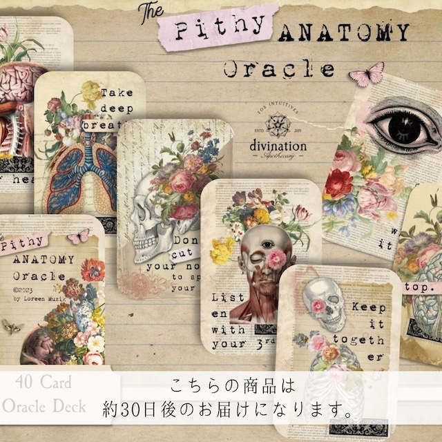 THE PITHY ANATOMY ORACLE ◆ 美しき解剖学 ヴィンテージオラクル