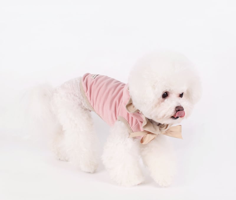 フリルリボンフード付きTシャツ S ~ XL 2color / 犬服 春物 新作 おしゃれ ドッグウェア 可愛い 犬の服 小型犬 中型犬 ペット用品 ペット洋服　b32