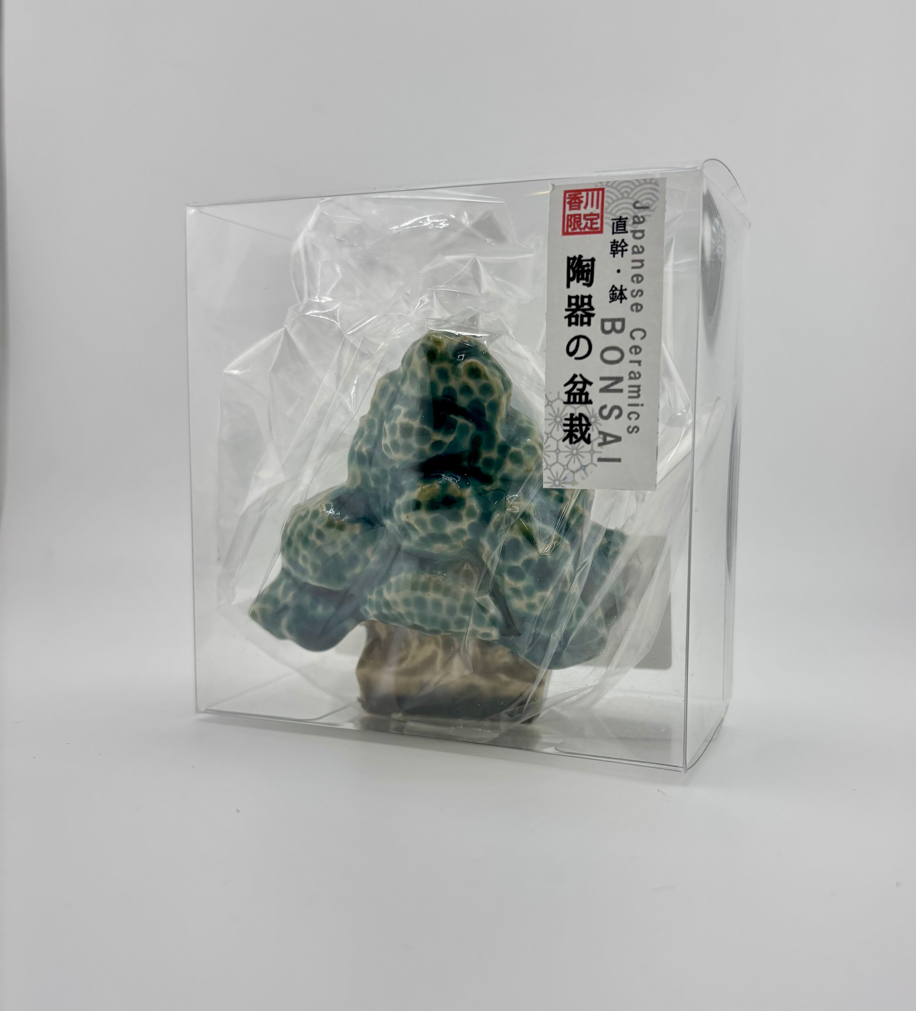 置物 陶器の盆栽 直幹・鉢 陶芸家 ニシクミ@2493_nishikumi【2025.12