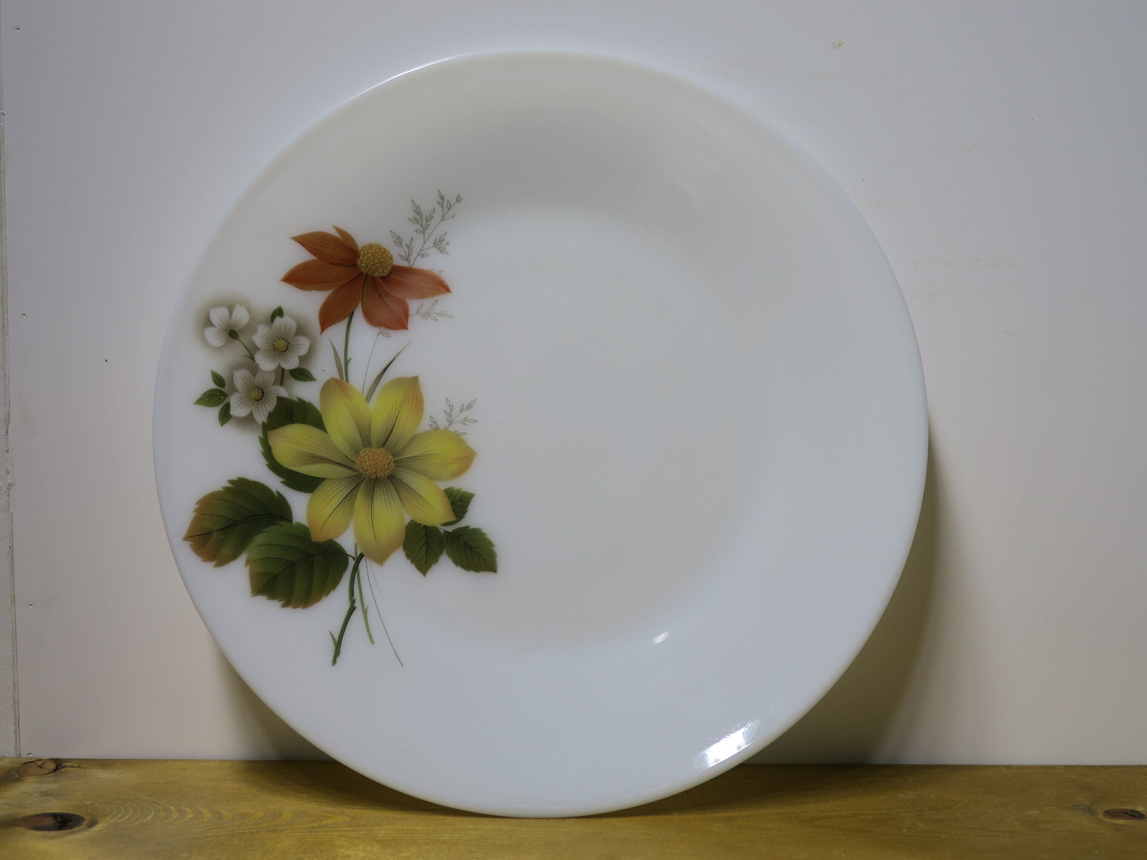 Pyrex / パイレックス | cellumama(CELLULOID)