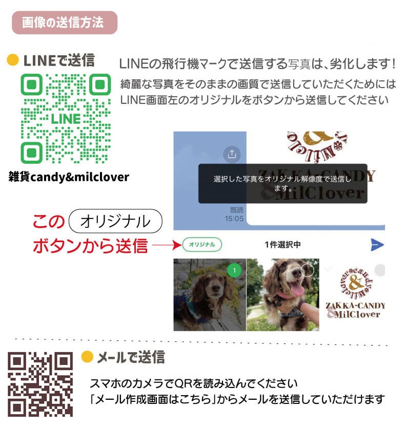 写真で作る うちの子ブランケット 名入れ対応 / 【メール便対応全国