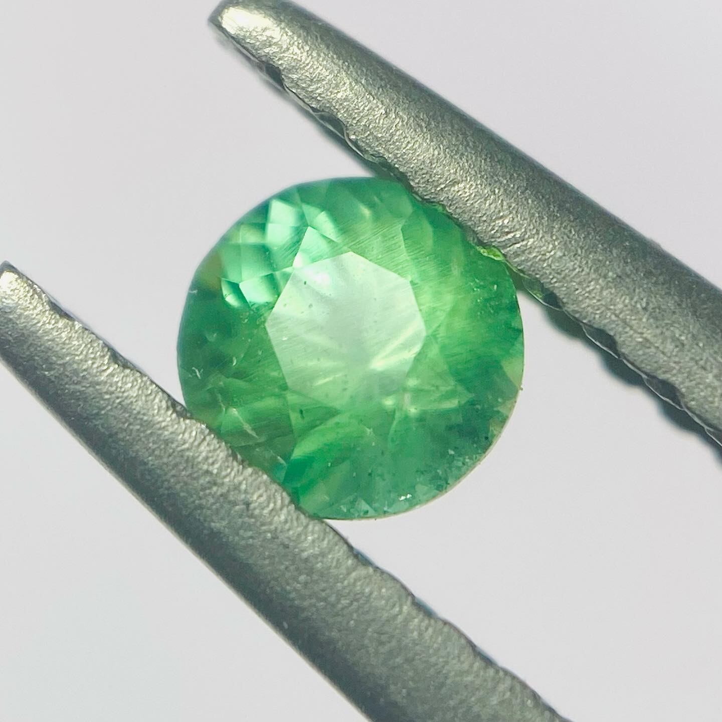 ネオンカラー、多色、シルキー、3拍子揃った希少コーネルピン