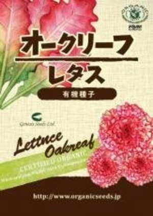 オークリーフレタス 約３３０粒　ＮＬＳ