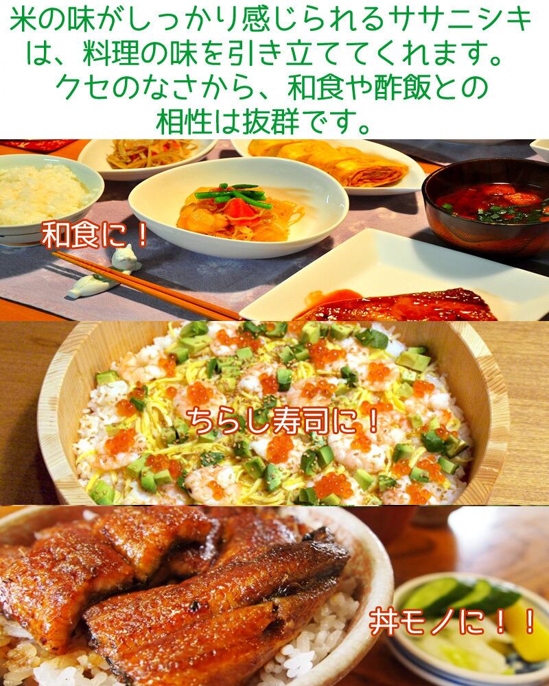 定期1ヶ月 令和7年産 登米産 ササニシキ 玄米 5kg 農薬・化学肥料不