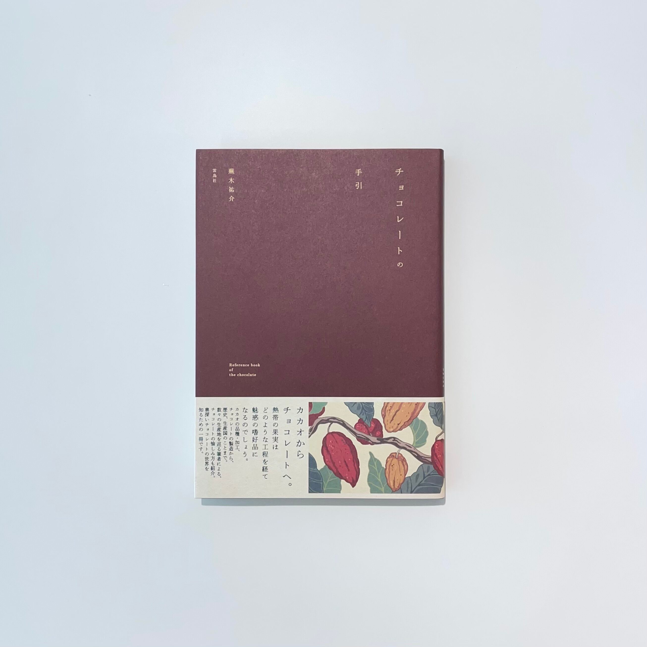 チョコレートの手引｜蕪木祐介 | 本の栞