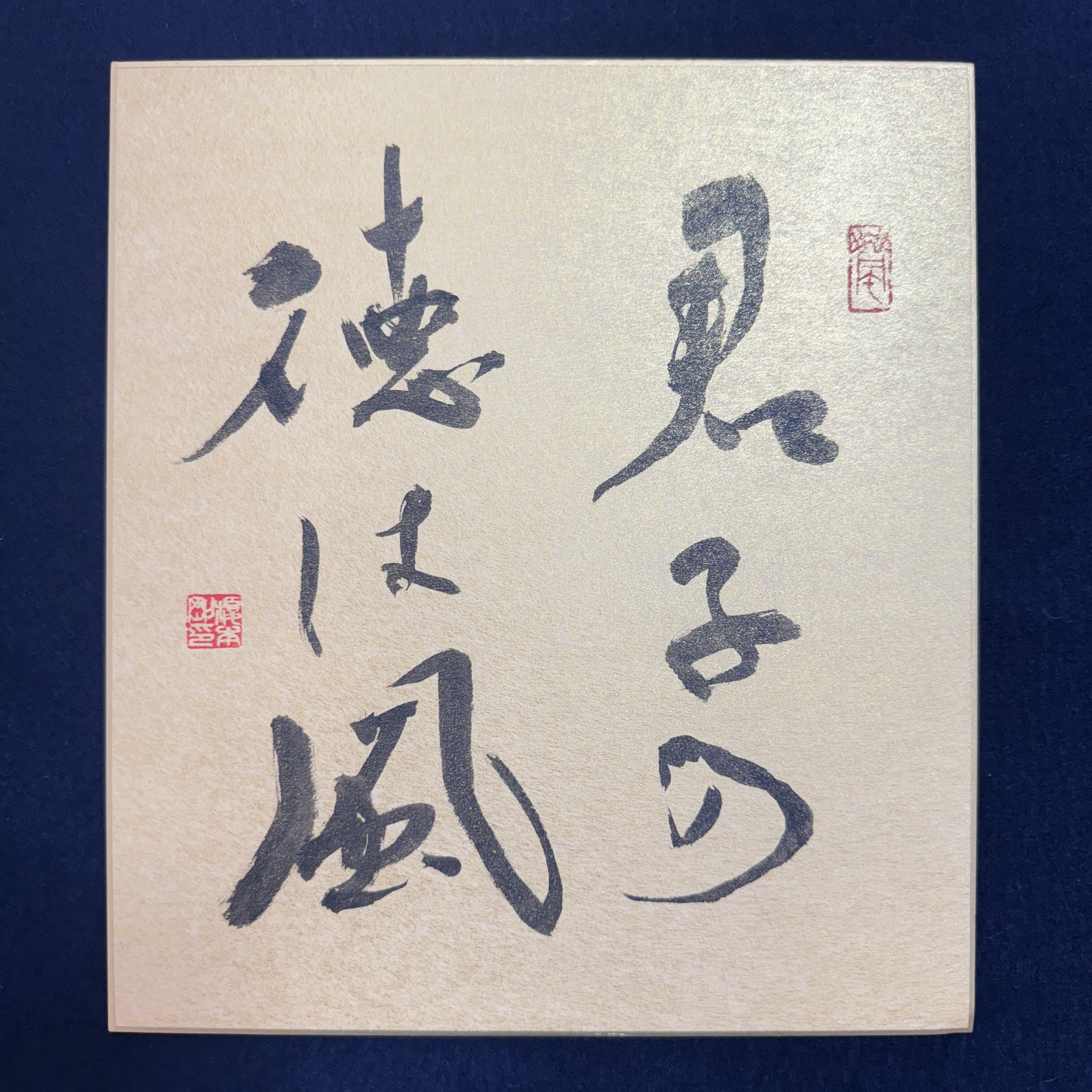 君子の徳は風」大色紙作品 | 書家｜榎本剛 Go Enomoto works