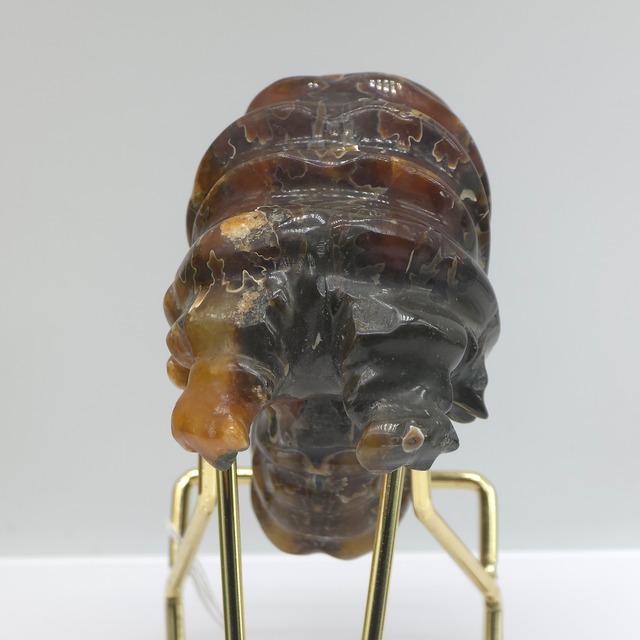 アンモナイト化石 9.6×7.7×4.8mm