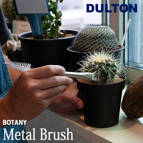 METAL BRUSH メタル ブラシ 観葉植物 クリーニング サボテン ガーデニング お手入れ ダルトンDULTON