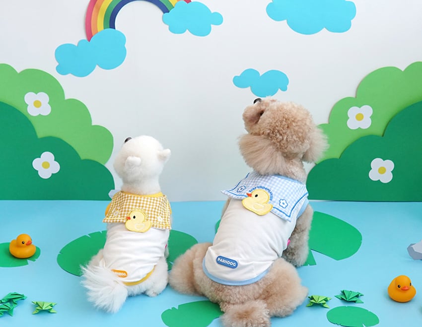 【SALE】 big duck t-set S ~ XL 2color  /  犬服 春夏 新作 ドッグウェア 帽子 セット Tシャツ お揃い 可愛い 幼稚園 トップス  犬の服 おしゃれ top141