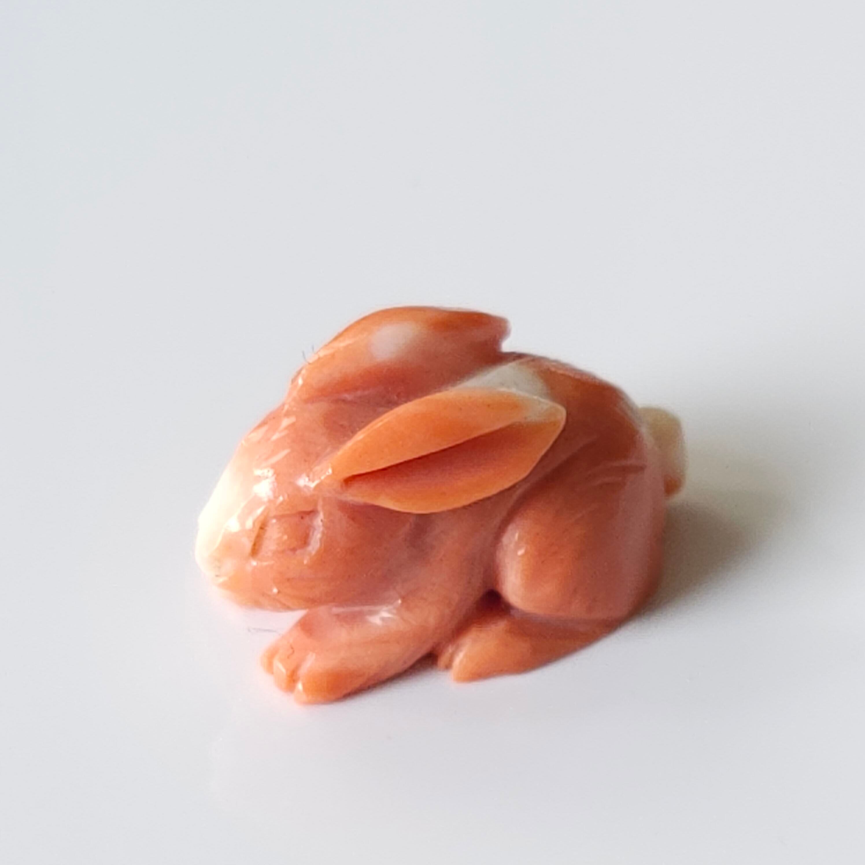 立体彫刻 兎 【商品紹介動画が商品説明からご覧になれます】 | 清岡珊瑚店