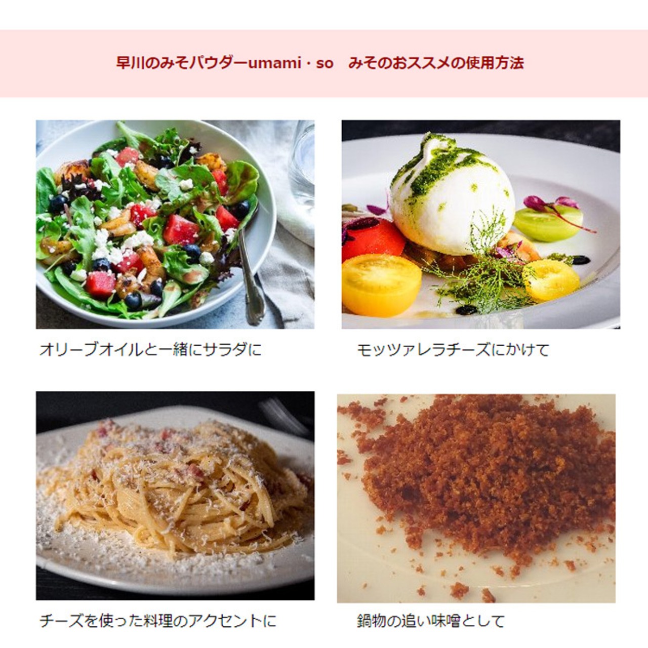 早川しょうゆみそ 早川のみそパウダー umami・so -みそ- 70g 乾燥味噌