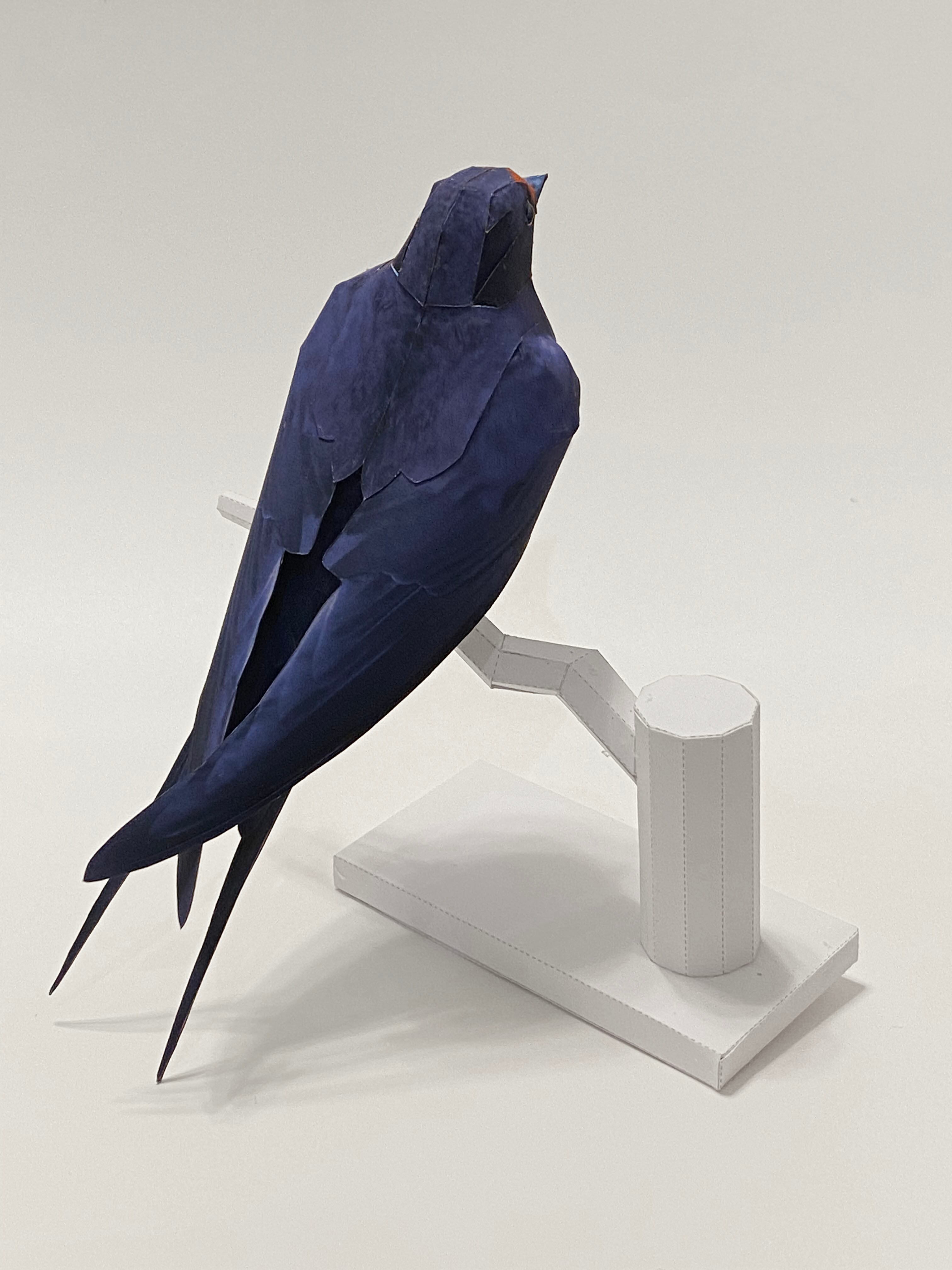 ツバメ ペーパークラフト｜Barn Swallow Papercraft | 紙鳥屋