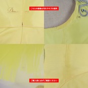 バレエ 衣装 Chacott チャコット チュチュ イエロー系 シルバー系 黄色 シルバー コンクール 発表会 呑気の精 眠れる森の美女 舞台衣装