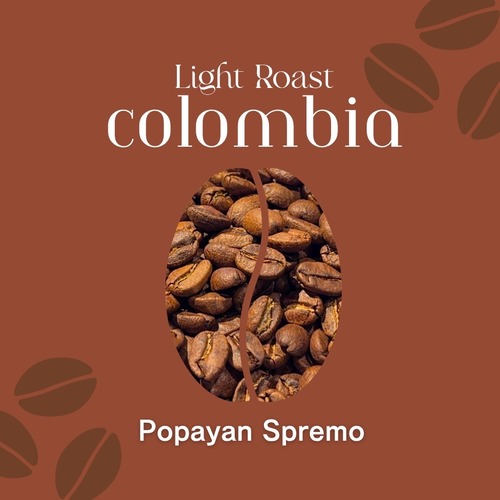 【コロンビア】 Popayan Spremo Washed｜Light Roast-100g