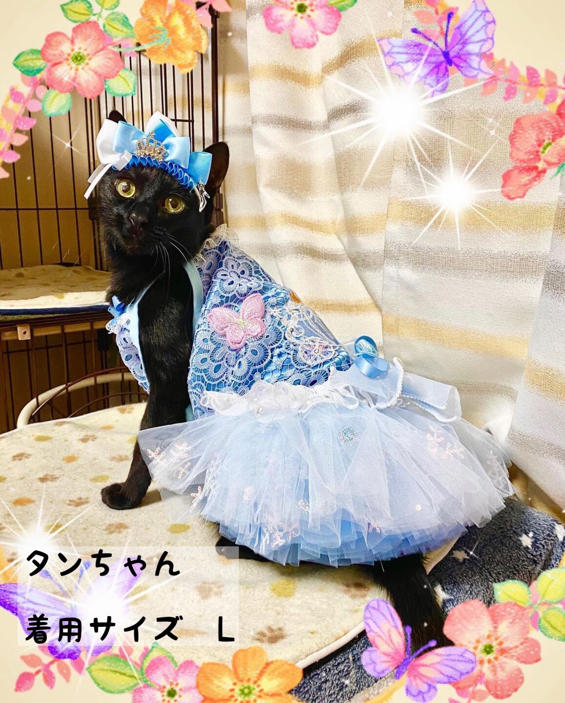 ♡海賊ねこちゃんオーダーページ ♡海賊ねこちゃんオーダーページ