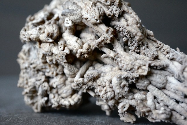 トゥファ Tufa 1163