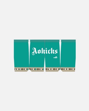 Aokicks Vivid Shorts - emerald blue