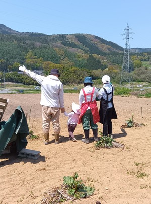 締切ました、11/27終了。ありがとうございました　　　アグリ 農業体験募集のお知らせ　　玉ねぎ、青森ホワイト６辺植付