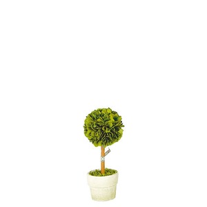 【CH07-G297S】Boxwood topiary "Ball" S　#トピアリー #グリーン #ナチュラル