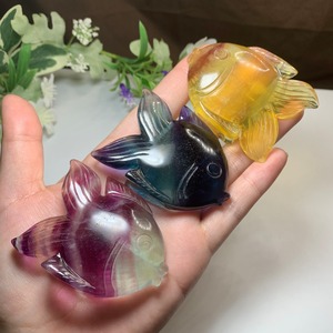 大家族☆海のアニマル♪♪フローライトお魚さん☆