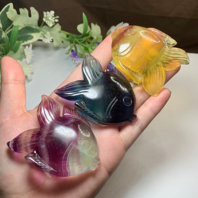 大家族☆海のアニマル♪♪フローライトお魚さん☆