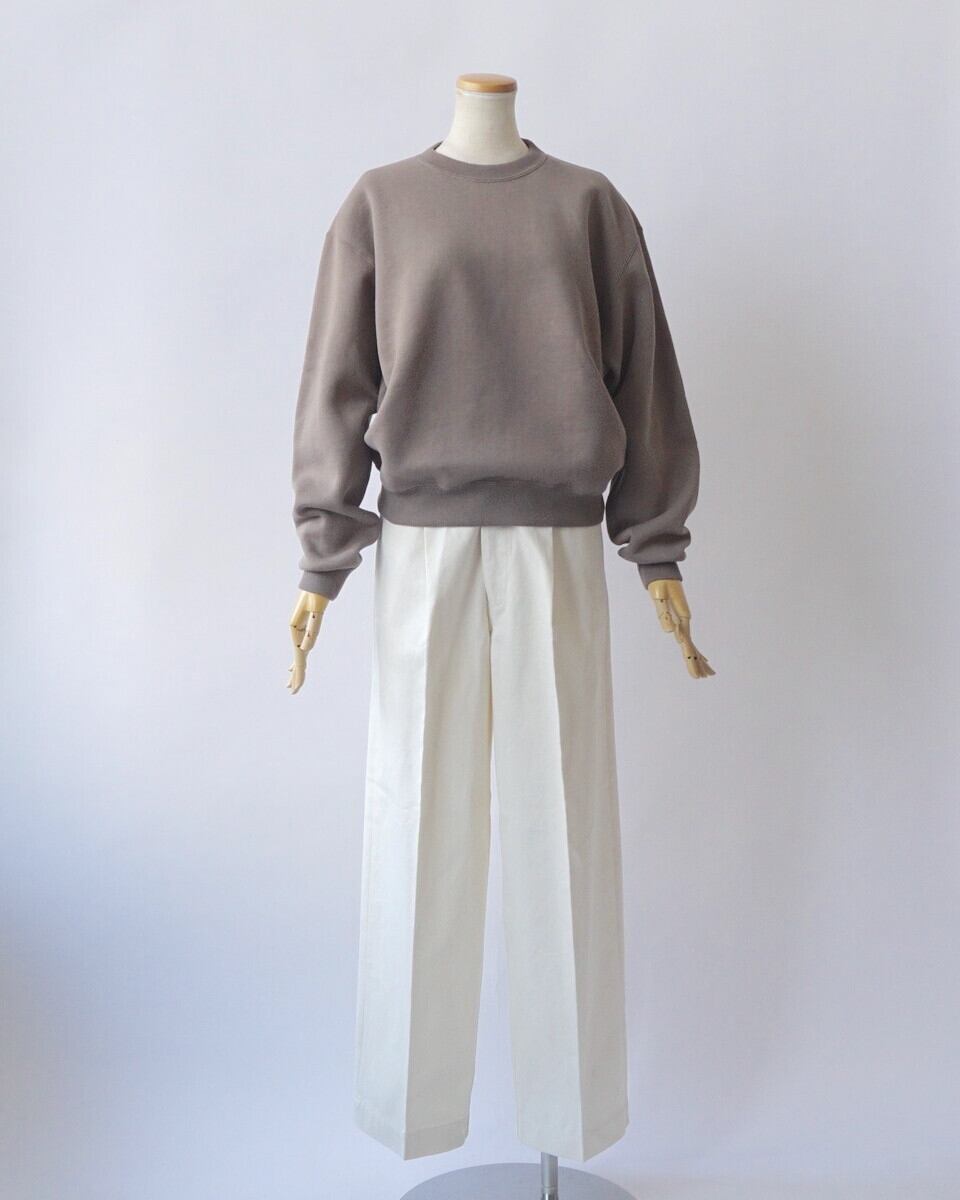 AURALEE/オーラリー・WASHED FINX CHINO ONE-TUCK PANTS | a flat shop