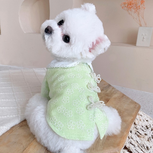 【ワンカラー】ライトグリーンのラグジュアリーシャツ d1290