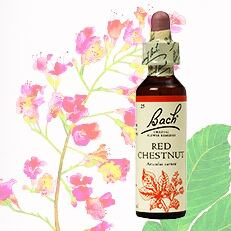 恐れ・悩み | バッチフラワーレメディの選定販売 | グッドライフプレア