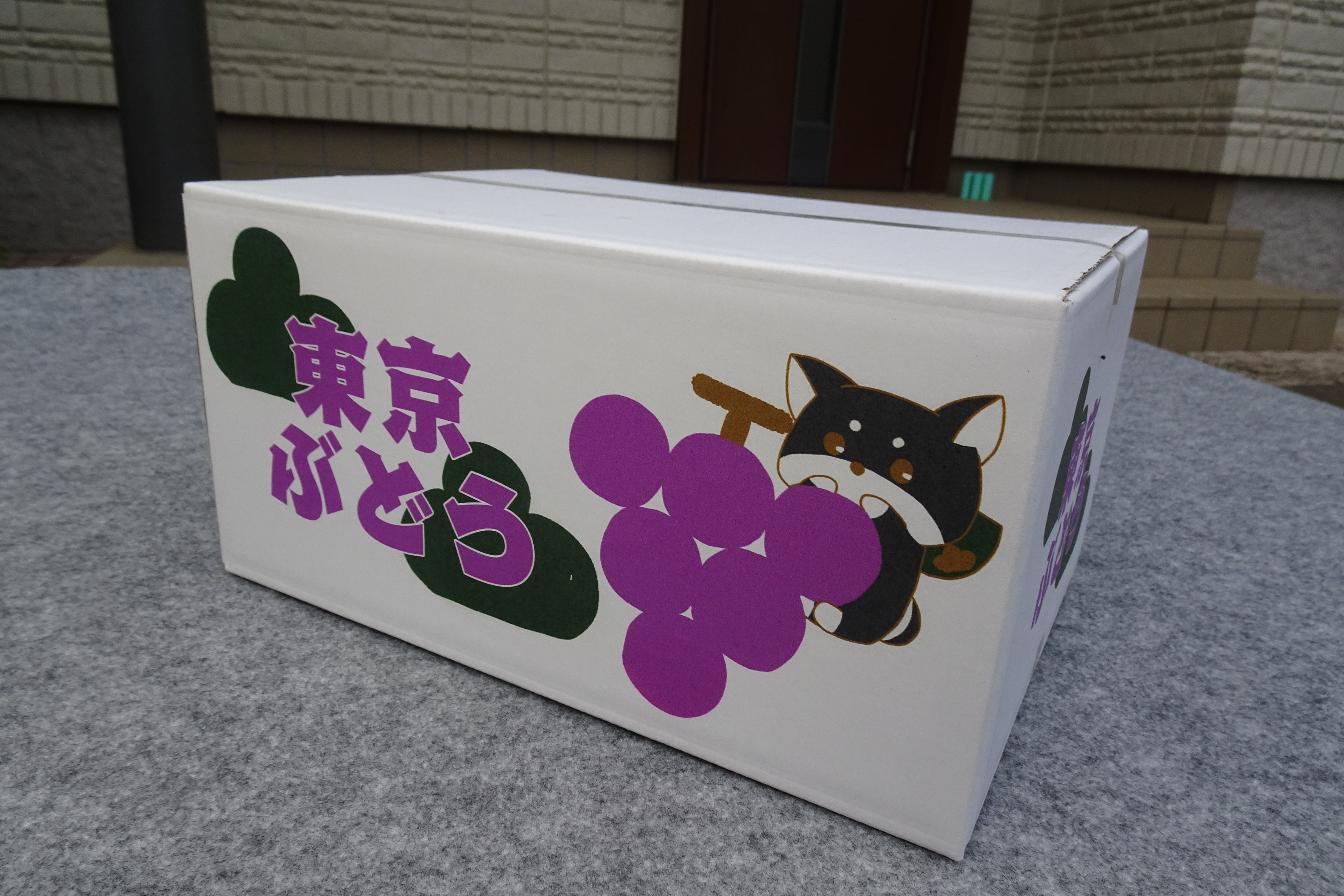 予約販売】B1 東京ぶどう 高尾 | 松乃園