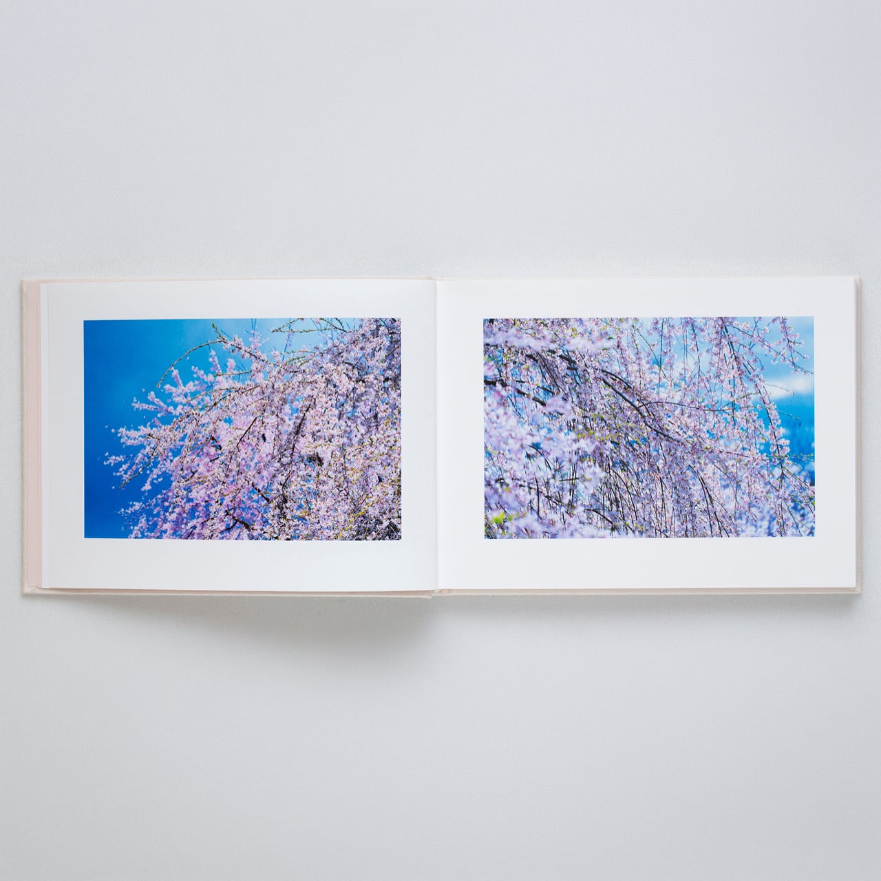 蜷川実花：VIRA【表紙：SKY Edition】☆著者サイン入り | PAY ID