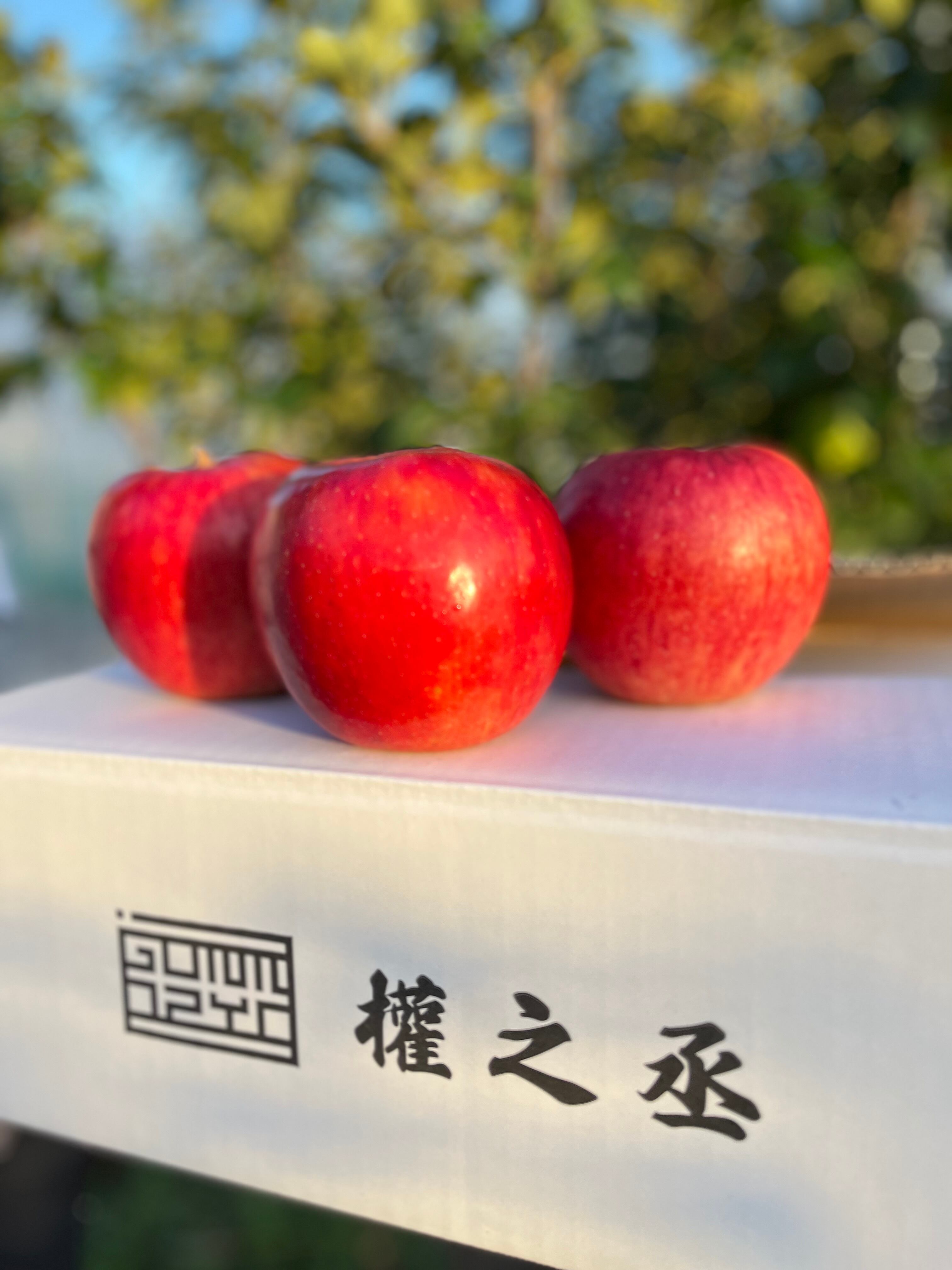 葉取らずつがる家庭用　2kg