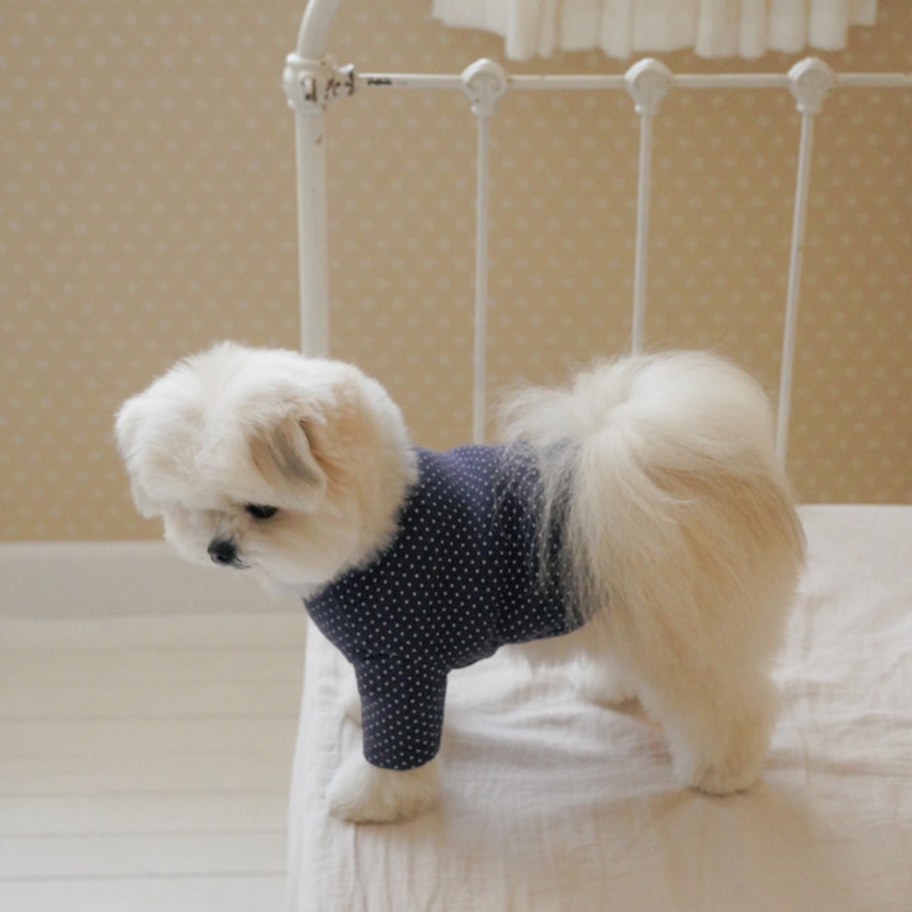 【予約】[ togethering ] Eyelet Crop T-Shirt｜Dot - 6