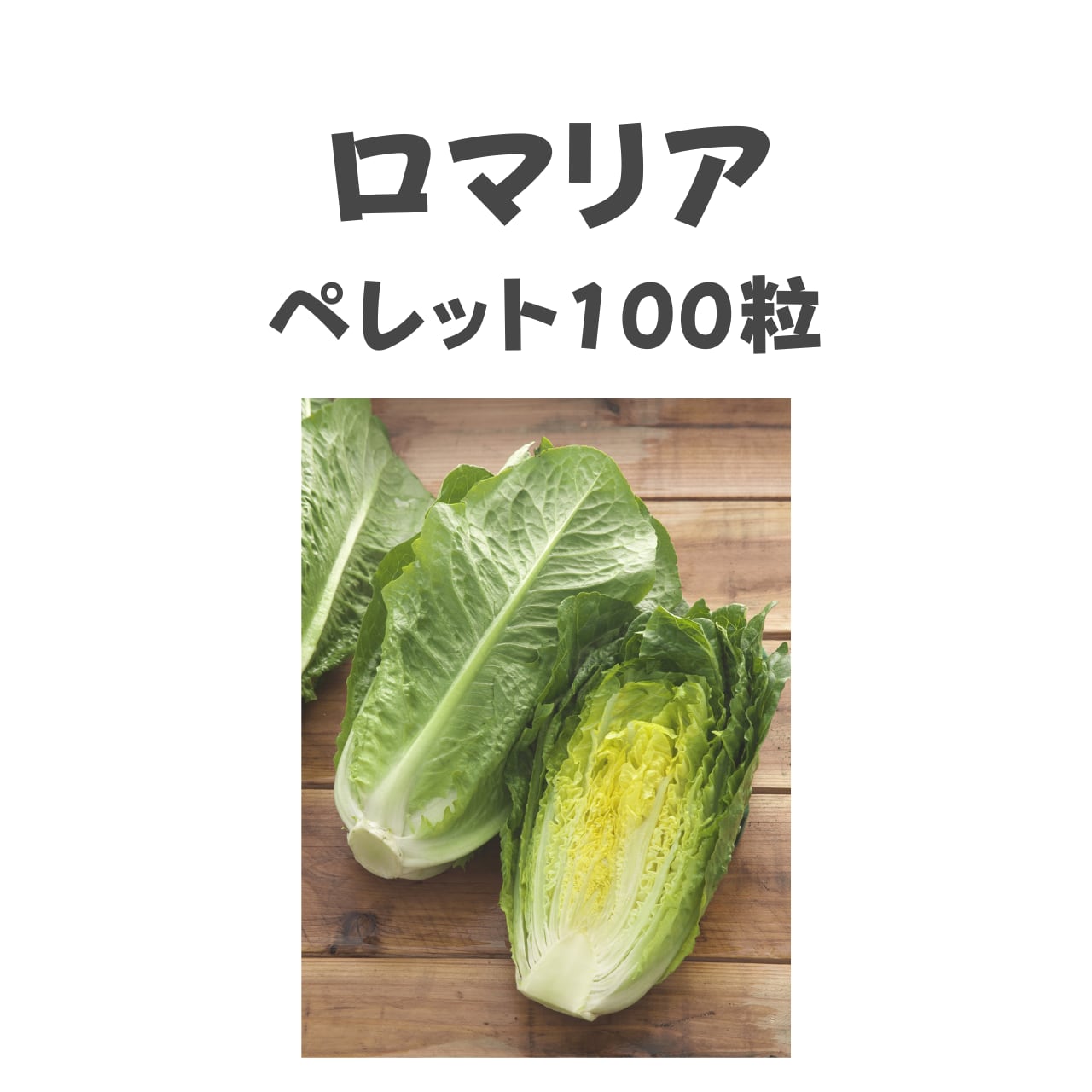 ロマリア レタス種子・ペレット100粒