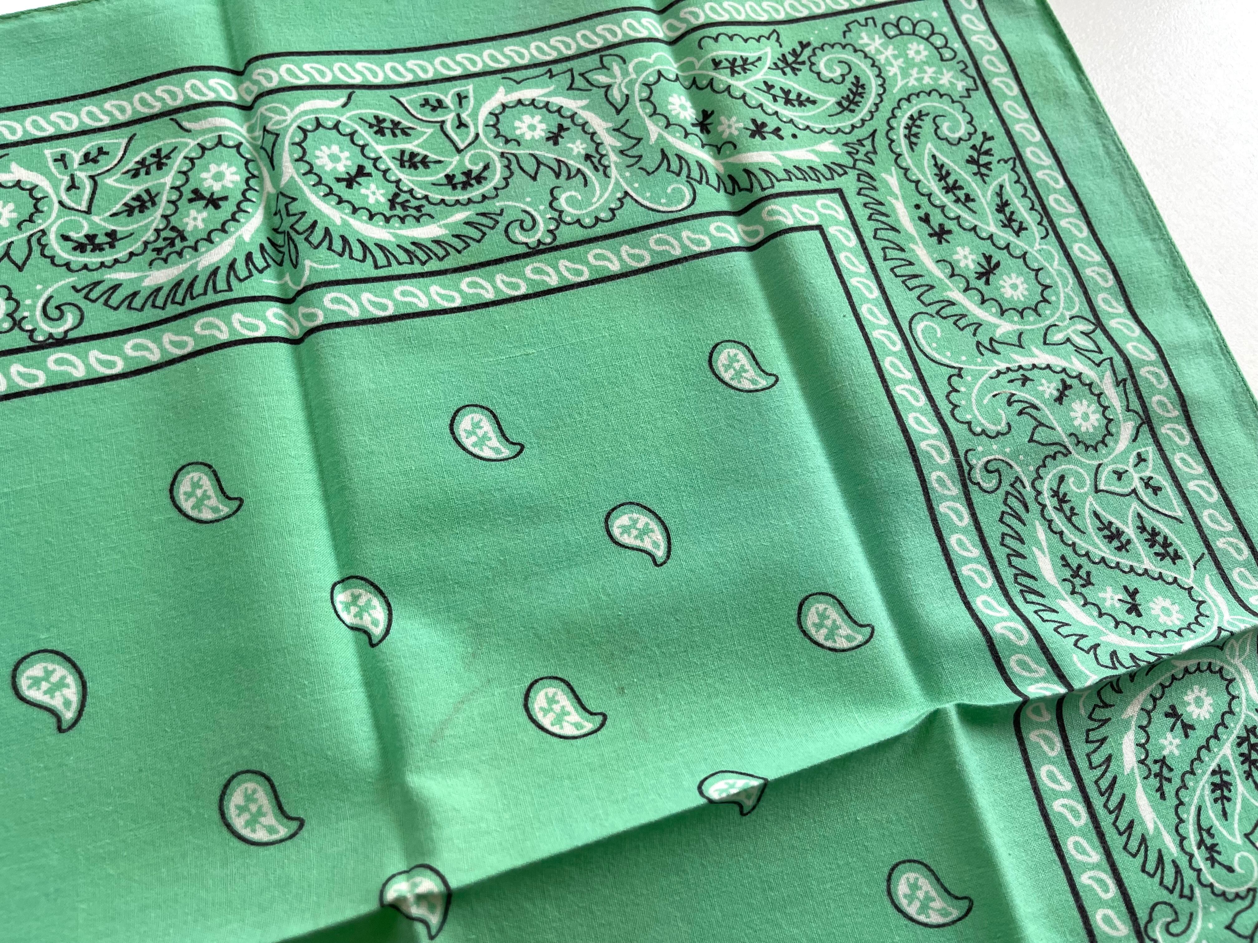 ミントグリーン！】70s~ RN13960 Paris paisley ヴィンテージ バンダナ