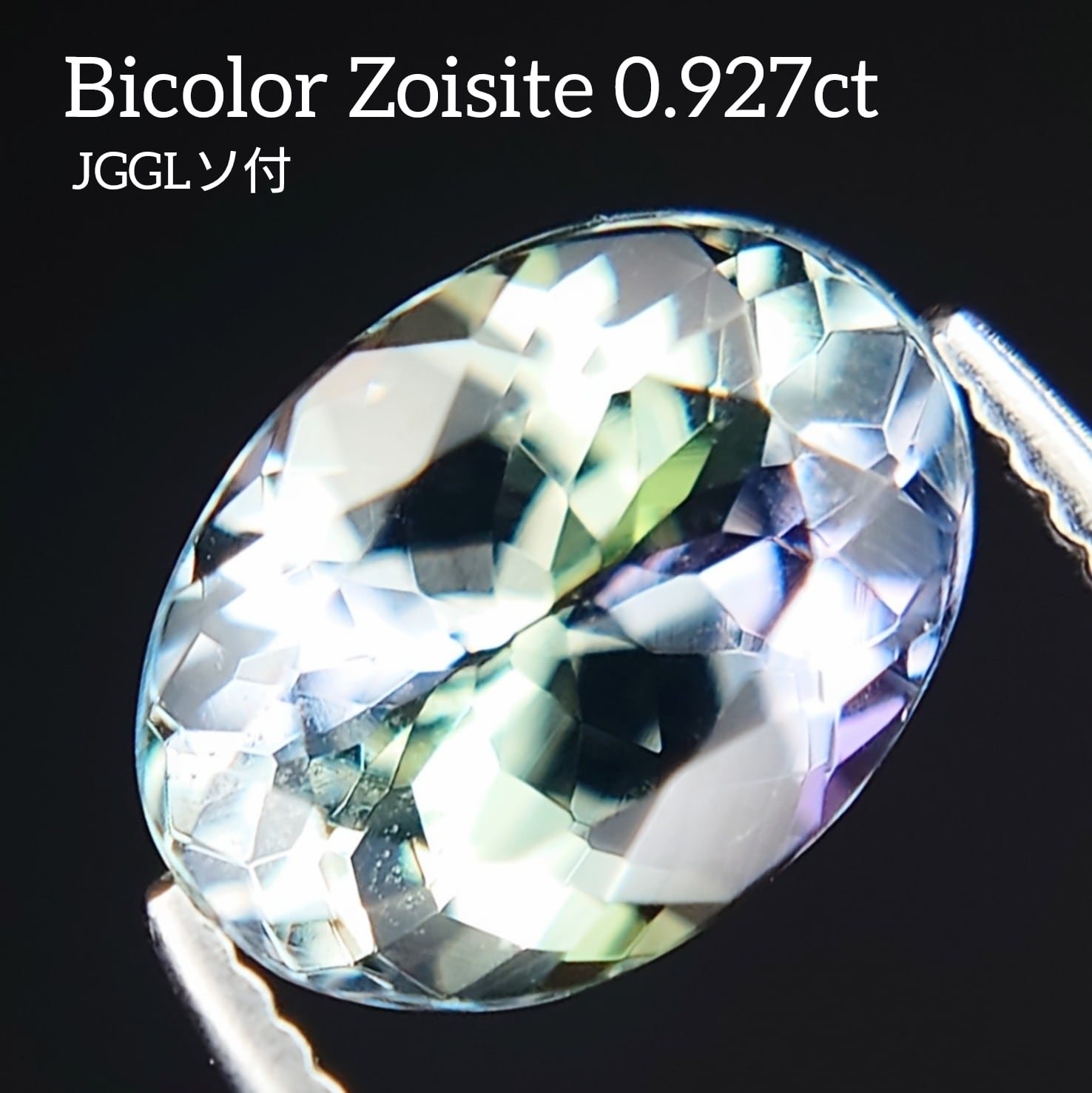 Bicolor Zoisite 0.927ct JGGLソ付 ルース☆ | wisteria777