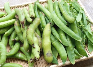 厳選　焼く”だけ”で美味しいお野菜セット