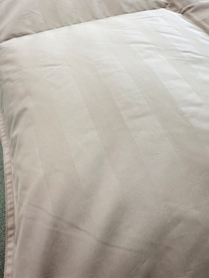 ホスタ【ダブル】【ホワイト】【ベージュ】【DP330】