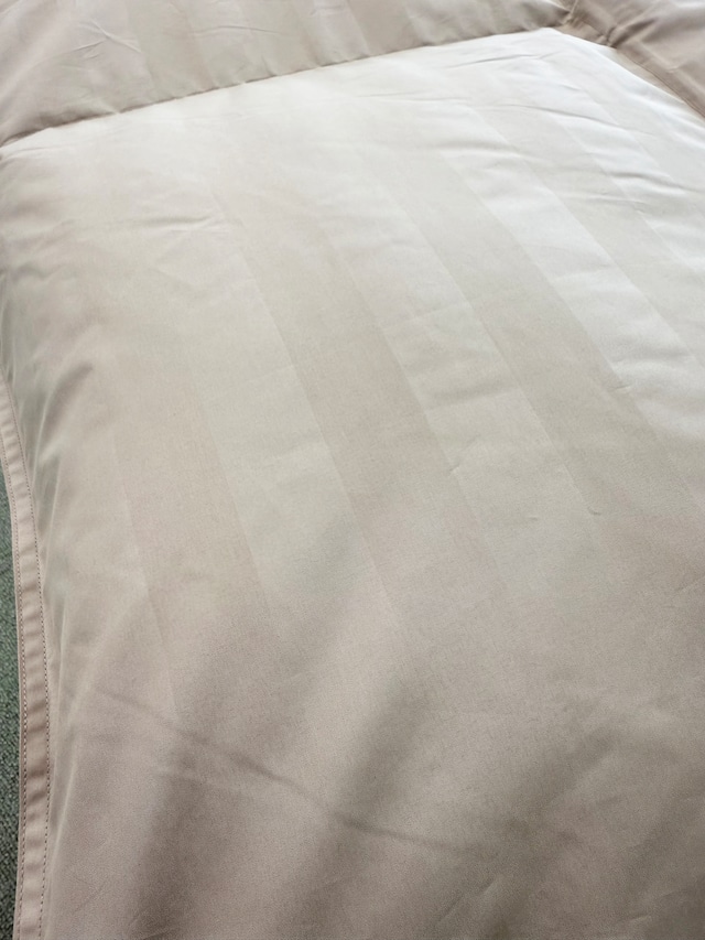 ホスタ【ダブル】【ホワイト】【ベージュ】【DP330】