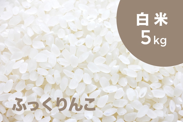特別栽培米 ふっくりんこ（白米）5kg【令和3年産】