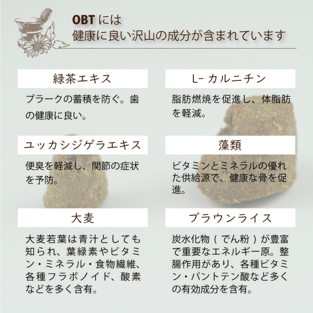 OVEN BAKED:グレインフリー フィッシュ100g