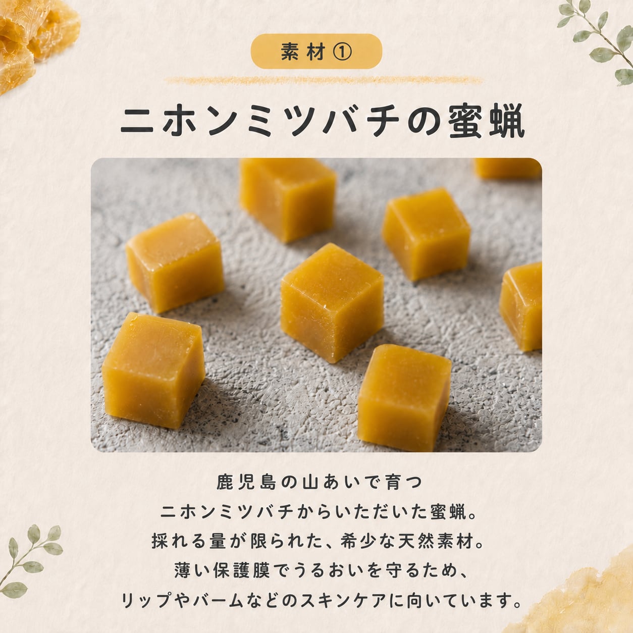リップキット(ニホンミツバチ蜜蝋) | 百花みつばち農園（和みつ 国産