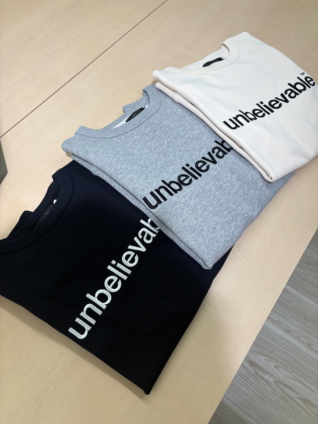 le vent souffle メンズ刺繍ミニロゴトレーナー　P 31D